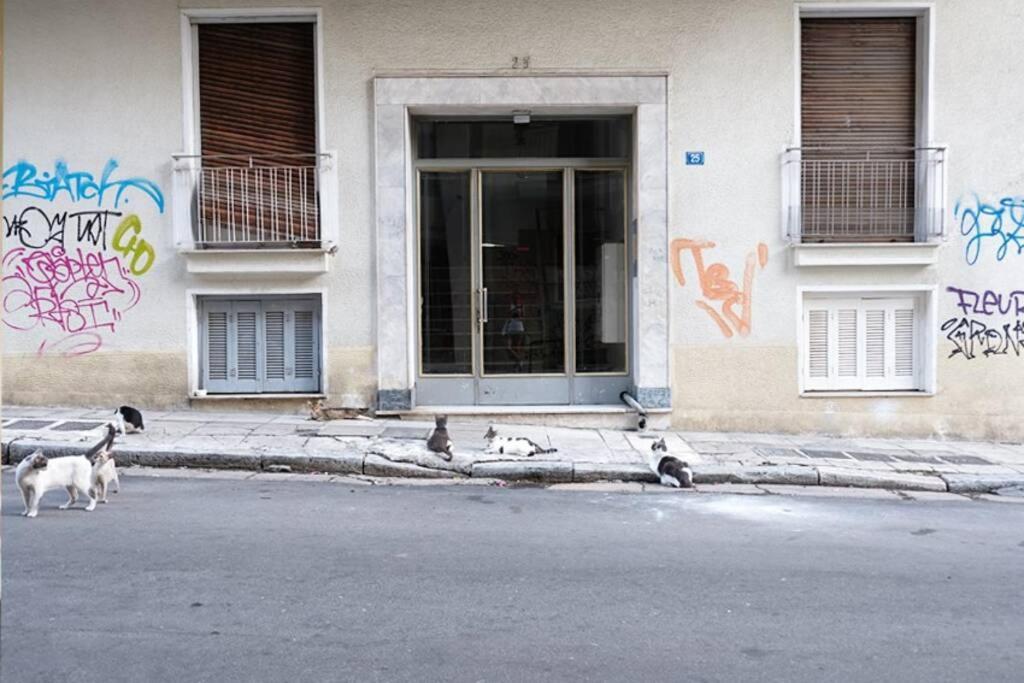 Charming Rooftop Nest With Awesome Acropolis View Downtown Αθήνα Εξωτερικό φωτογραφία